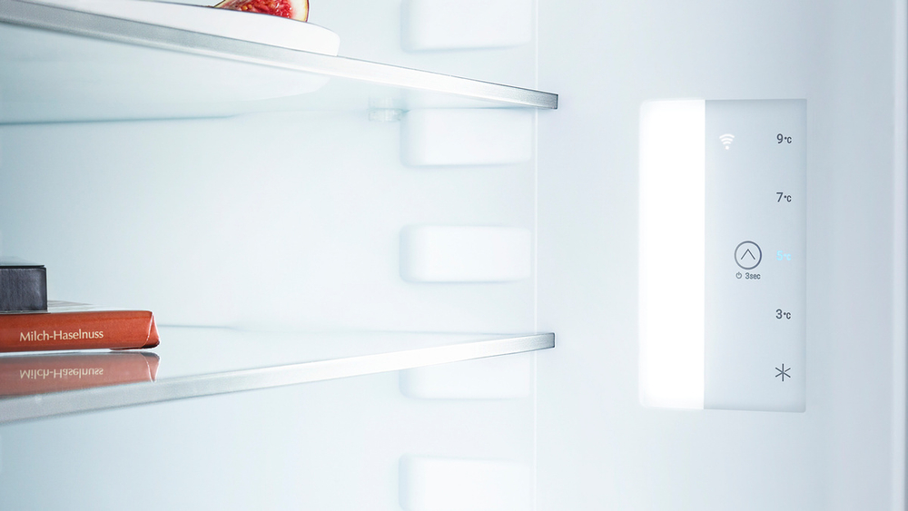 Холодильник Liebherr Re 1000-20 001