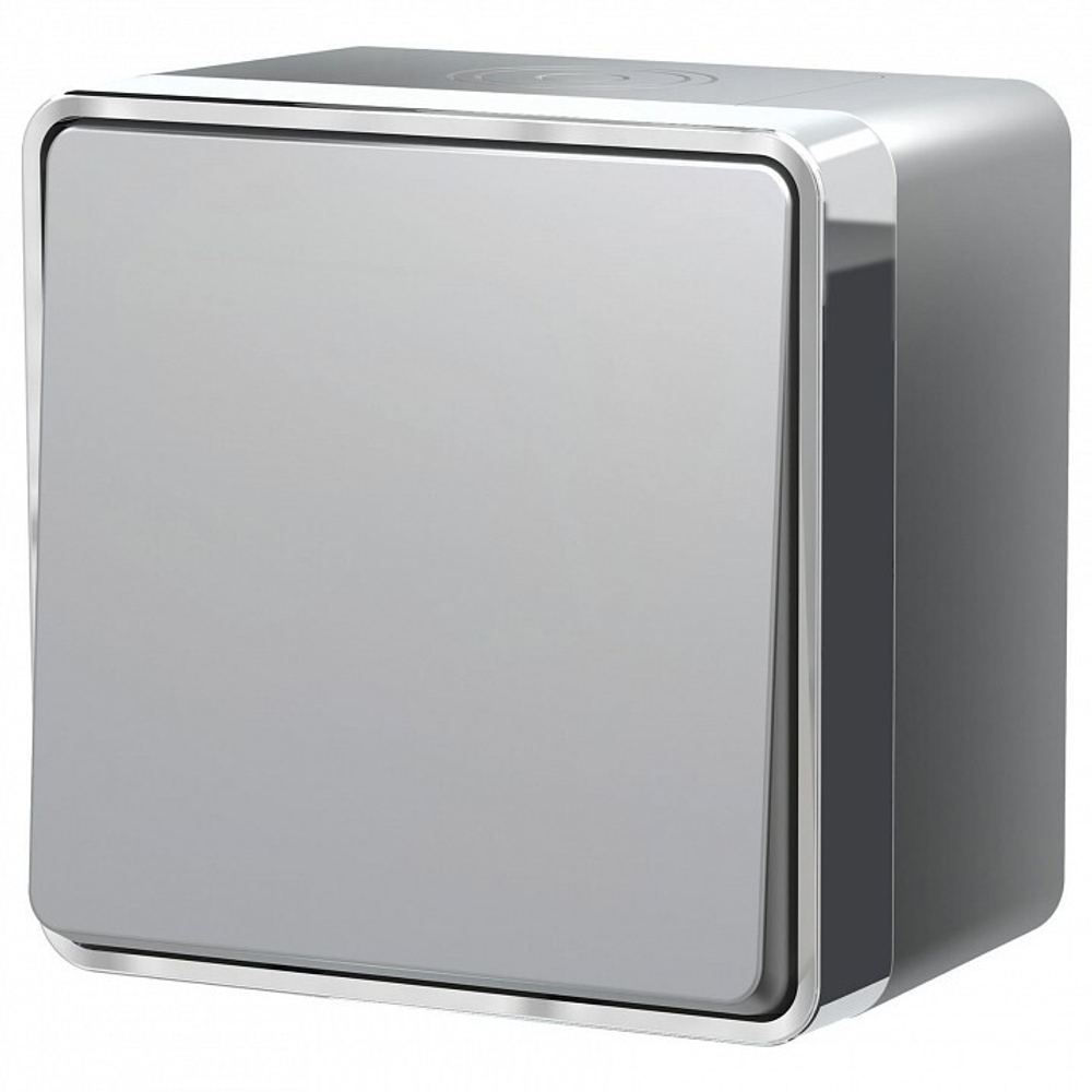 Выключатель одноклавишный Werkel W5010206