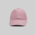  Кепка Carhartt WIP Harlem Cap артикул:I028955 - купить в магазине Дайс