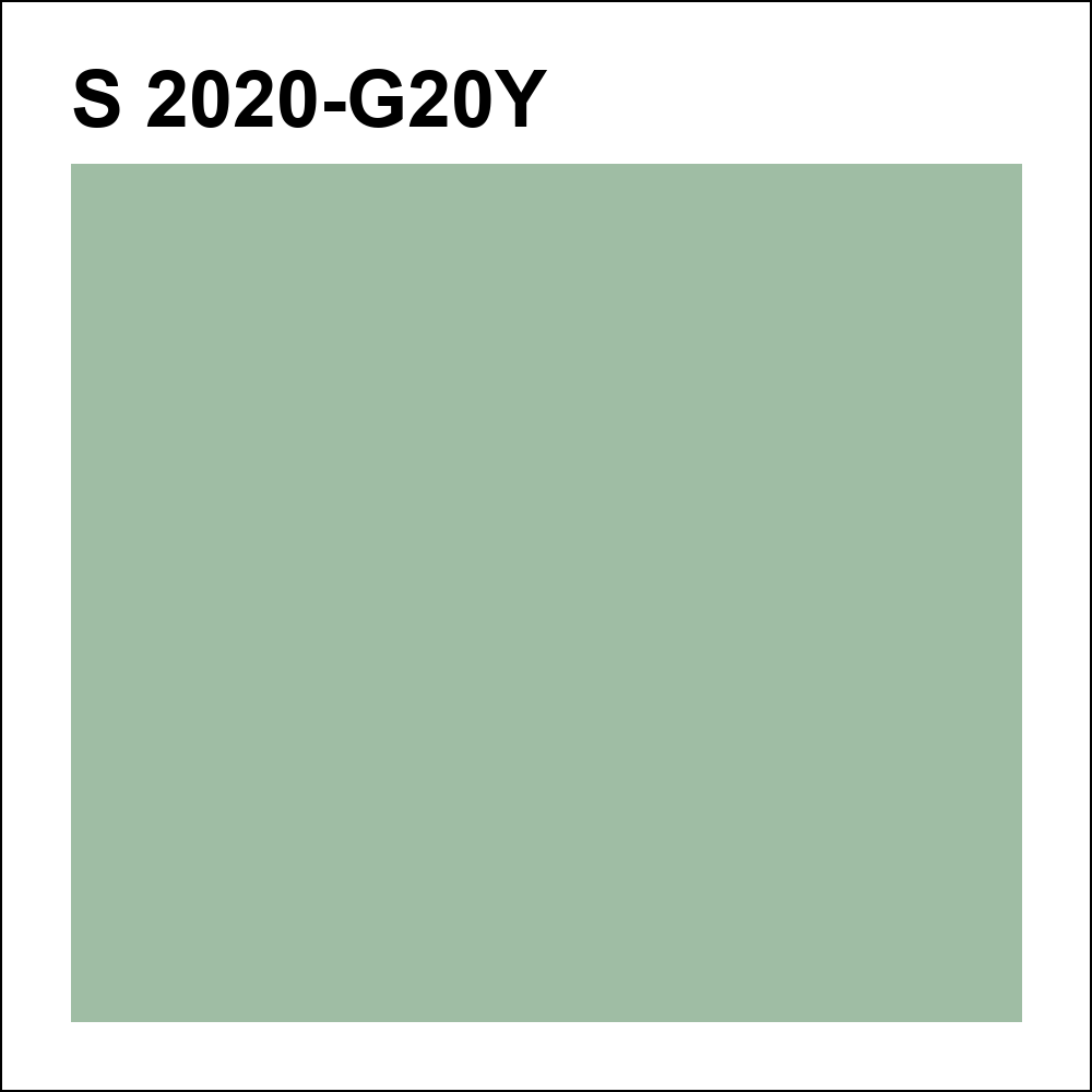 S 2020-G20Y за кг