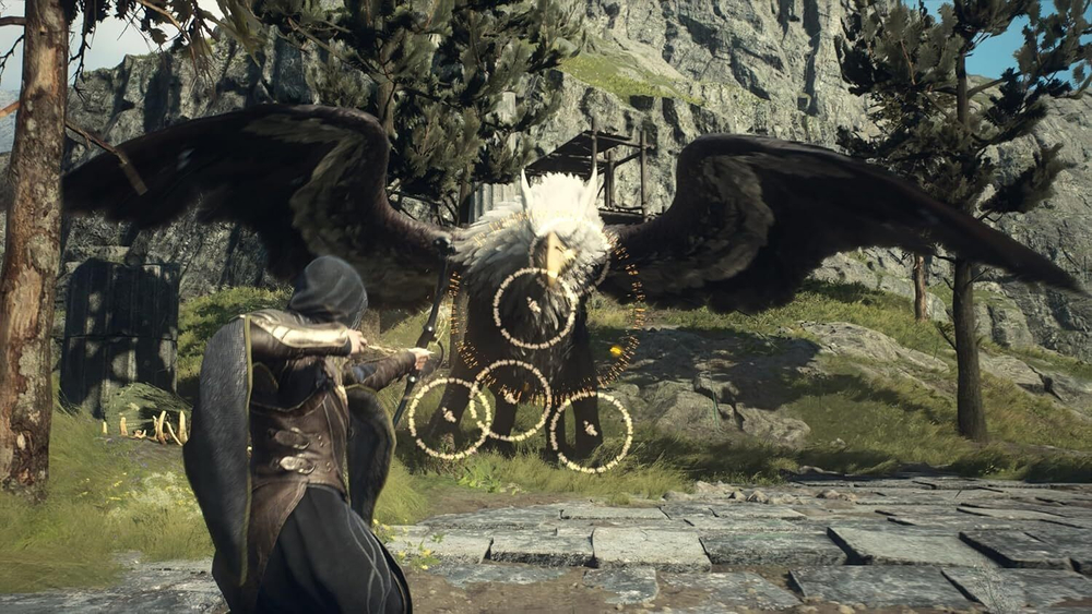 Dragon's Dogma 2 (II) Lenticular Edition (диск для PS5, интерфейс и субтитры на русском языке)