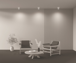 Потолочный светильник Technical C009CW-L12W