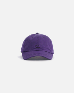 Кепка Anteater 6Panel-Violet