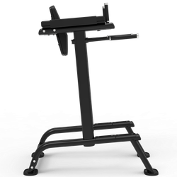 Impulse ITF8701 поднятие коленей / брусья