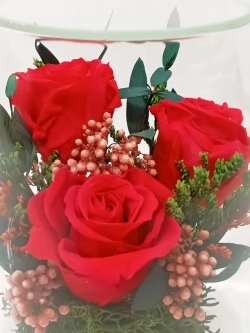 натуральные кустовые пионы в стекле, вакуум*