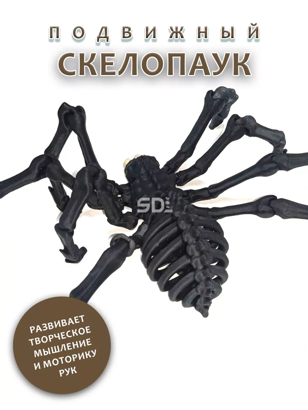 Скелет Паук