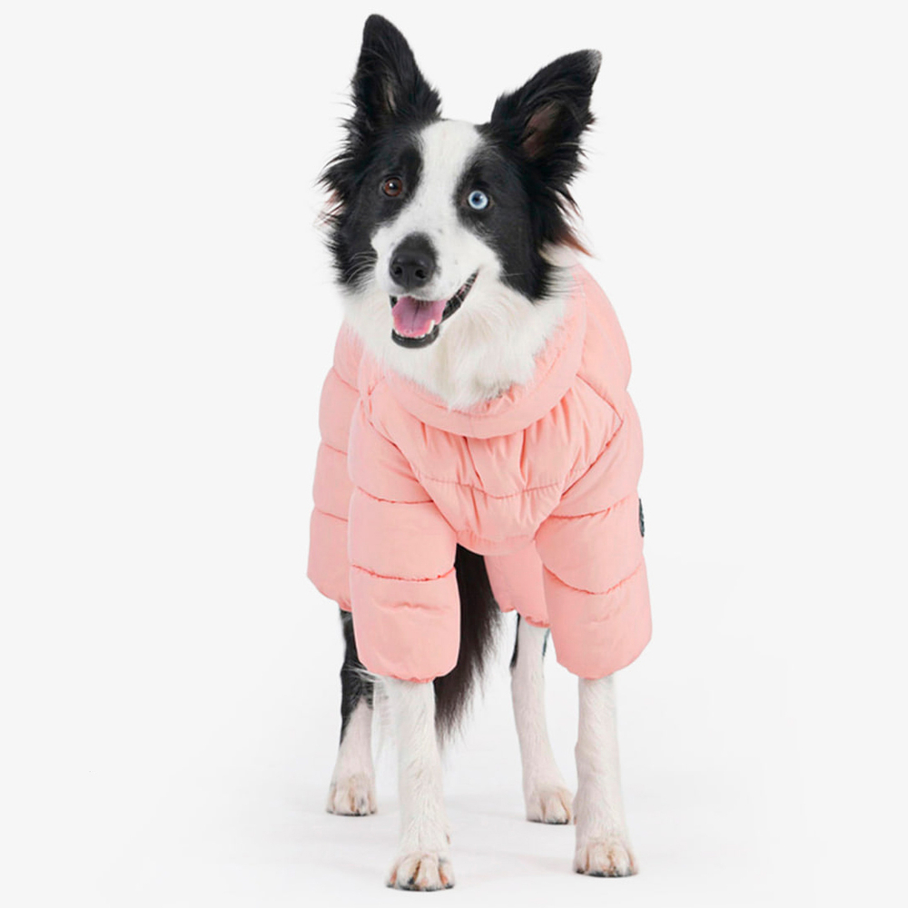 672 Комбинезон "Комфорт до -20-25°C" с молнией на спине, девочка/ COMFORT - FOR GIRLS, для девочки PREMIUM (SSOOOK)