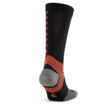 Гетры PUMA Team ftblNXT Socks