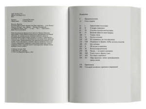 Великий образ не имеет формы, или Через живопись — к не-объекту