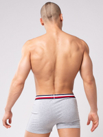 Мужские боксеры из мягкого хлопкового трикотажа с резинкой в полоску (Размер: XL) (Цвет: серый)