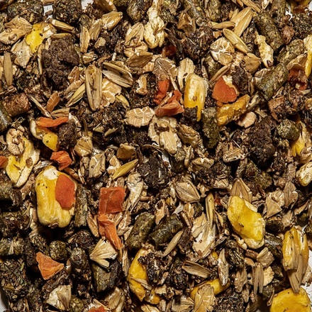 Солнечные Стандарт