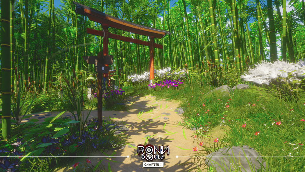 RONIN: Two Souls CHAPTER 1 (для ПК, цифровой код доступа)