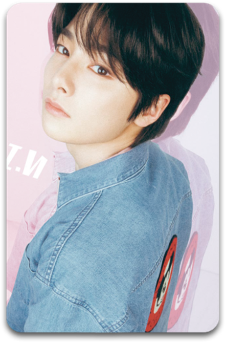 Карта / STRAY KIDS #3056