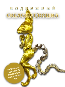 Скелет Кошки