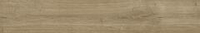 Atlas Concorde Russia Fusion Oak Golden Rett 20x120