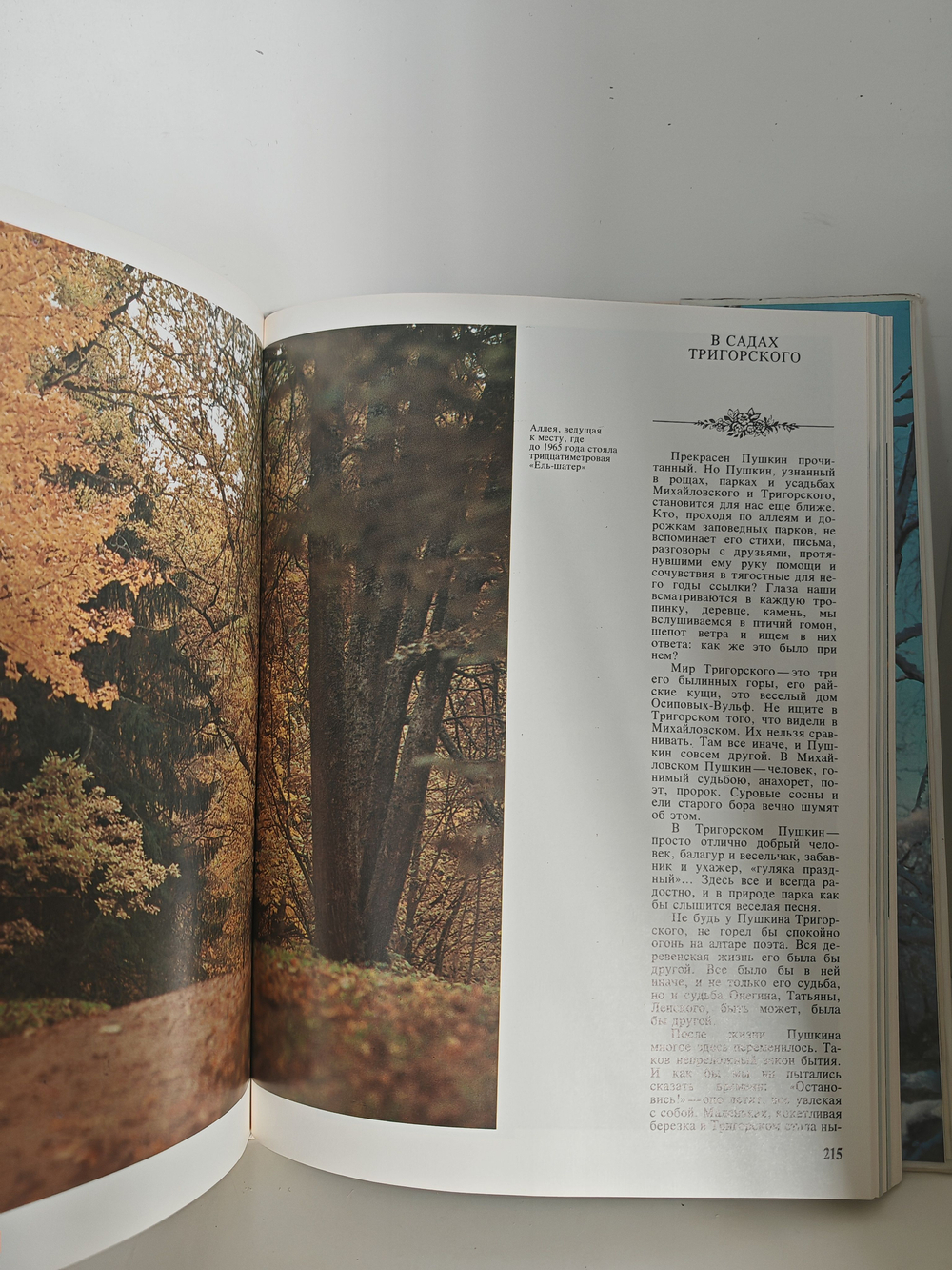 Приют, сияньем муз одетый