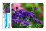 Коврик для мыши Buro BU-M20012 23*18*2 цветы