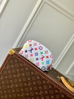 Louis Vuitton Cosmetic Pouch PM