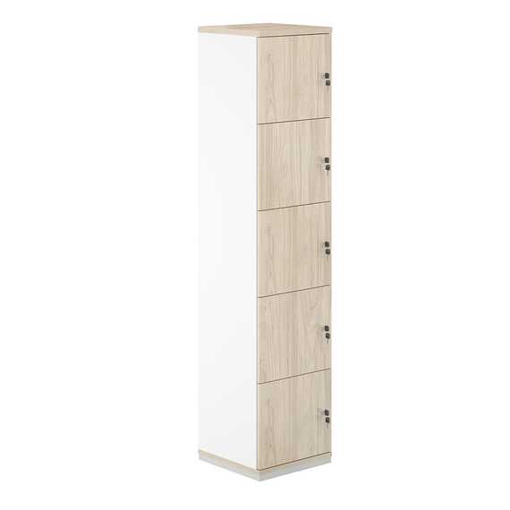 Локер Аллегро 5 яч 400х400х1833 AG.232