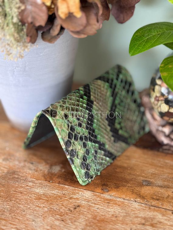 Обложка на паспорт из кожи питона AC-143