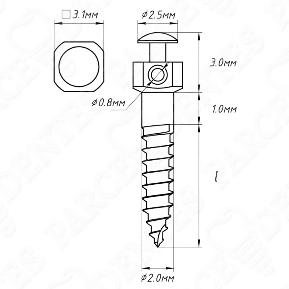Ортовинты ВС размеры