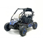 Багги Green Camel Намиб T10 (60V 2000W R8 Дифф)