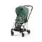Детская коляска Cybex Mios 2 в 1 Leaf Green Rosegold