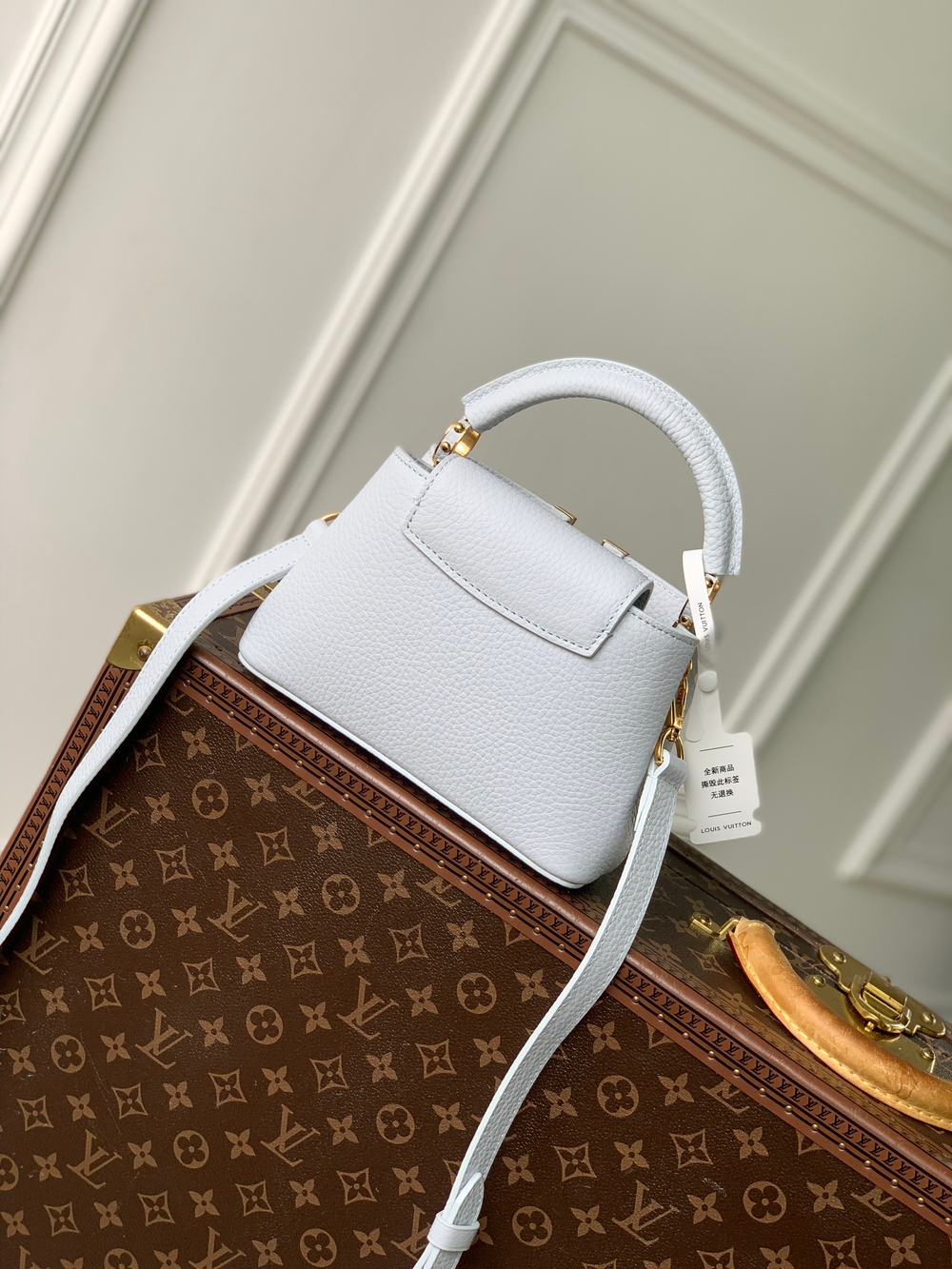 Louis Vuitton Capucines Mini