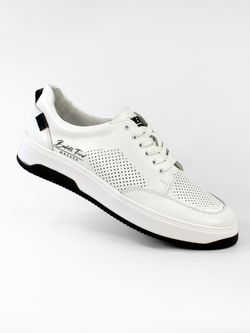 Кроссовки мужские P4400-1V