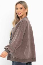 Свитшот Урбан (коричневый) Б14904-20М LT Collection