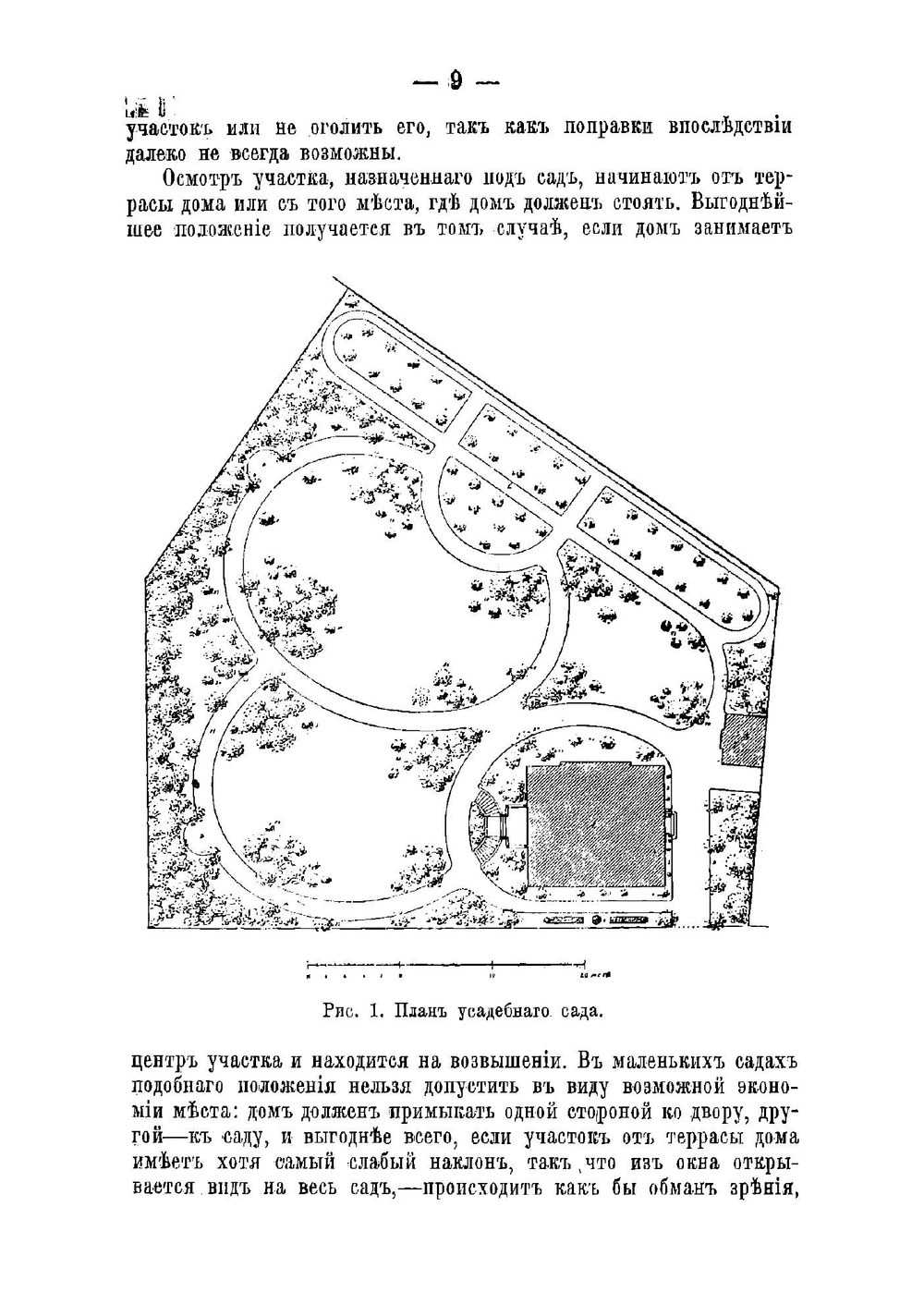 Декоративный, дачный и усадебный сад | Штейнберг Павел Николаевич