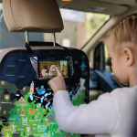 Накидка на сидение автомобиля. Карта России