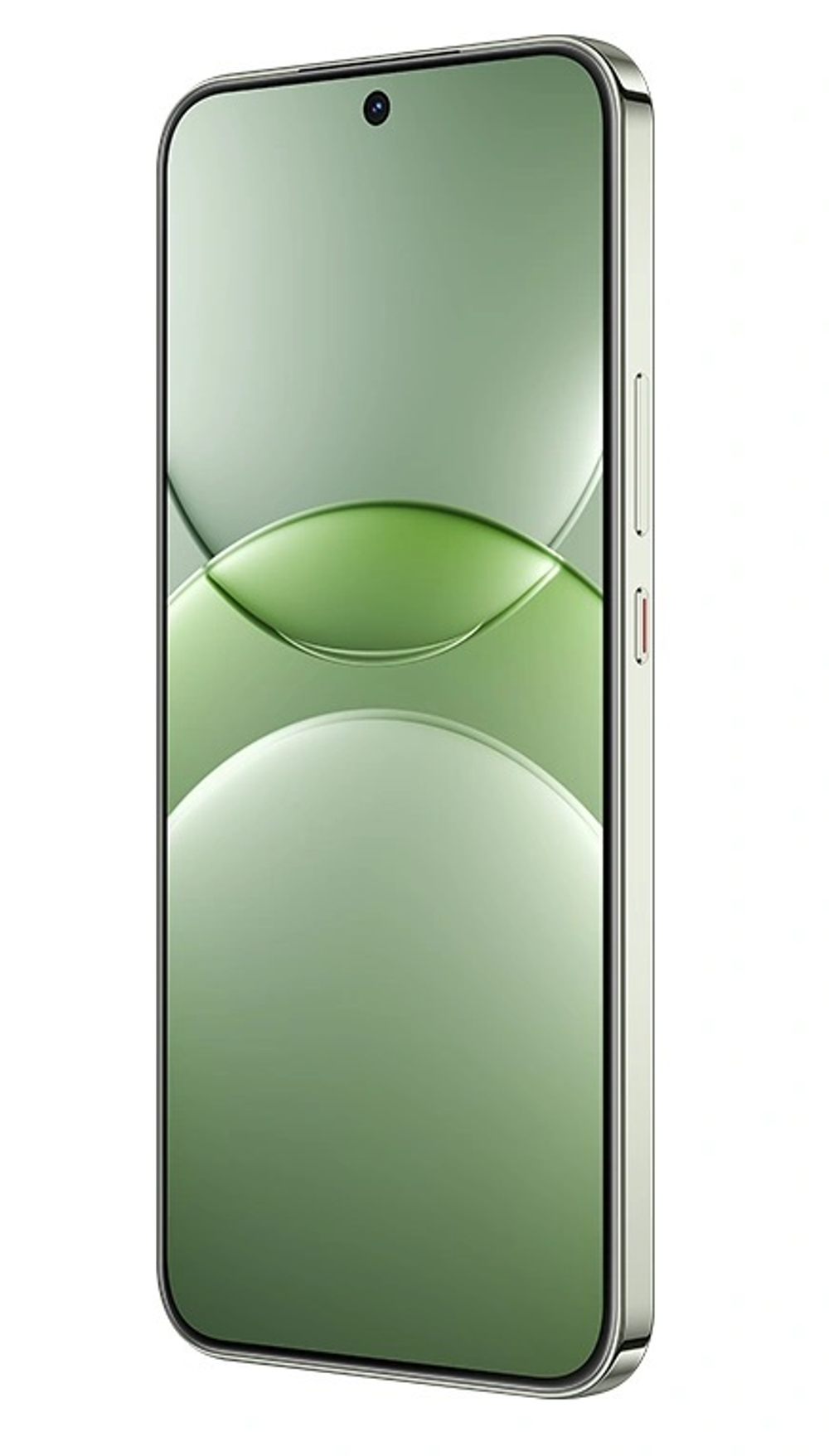 Смартфон Huawei Nova 13 12/512Gb Дымчатый Зелёный (BLK-LX9)