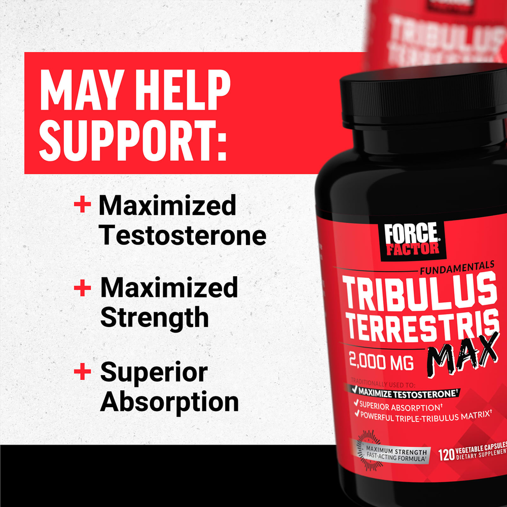 Force Factor, Fundamentals, якорцы стелющиеся (Tribulus terrestris Max), 120 растительных капсул (500 мг в 1 капсуле)