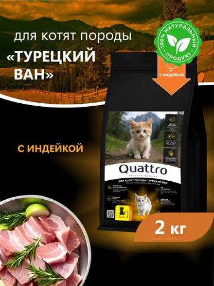 Корм сухой для котят породы Турецкий ван, с индейкой, 2кг, QUATTRO