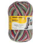 Пряжа Regia Design Line 03858