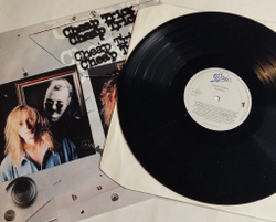 Винтажная виниловая пластинка LP Cheap Trick Busted (Holland 1990)