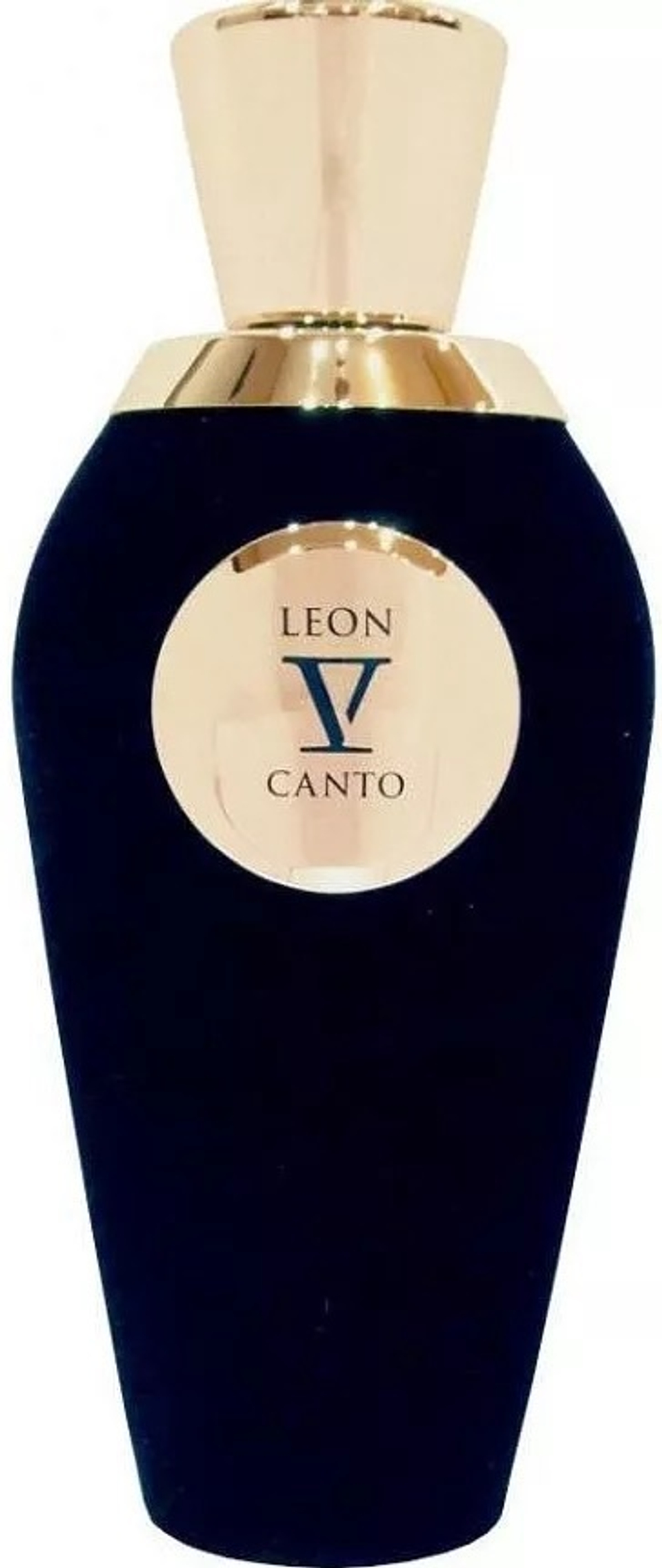 V Canto Leon