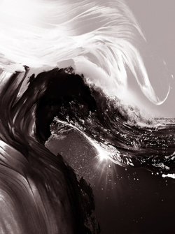 Коллекция EUPHORIA