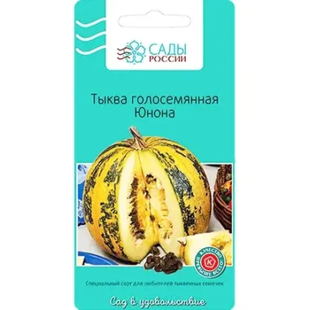Тыква семена
