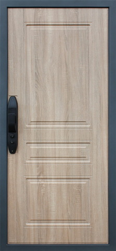 Стальная дверь "Аккорд". Заказная модель.