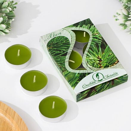 Набор ароматических свечей чайных «Хвоя», 3.8×1.6 см, 3.5 ч, 12 г, 6 шт.