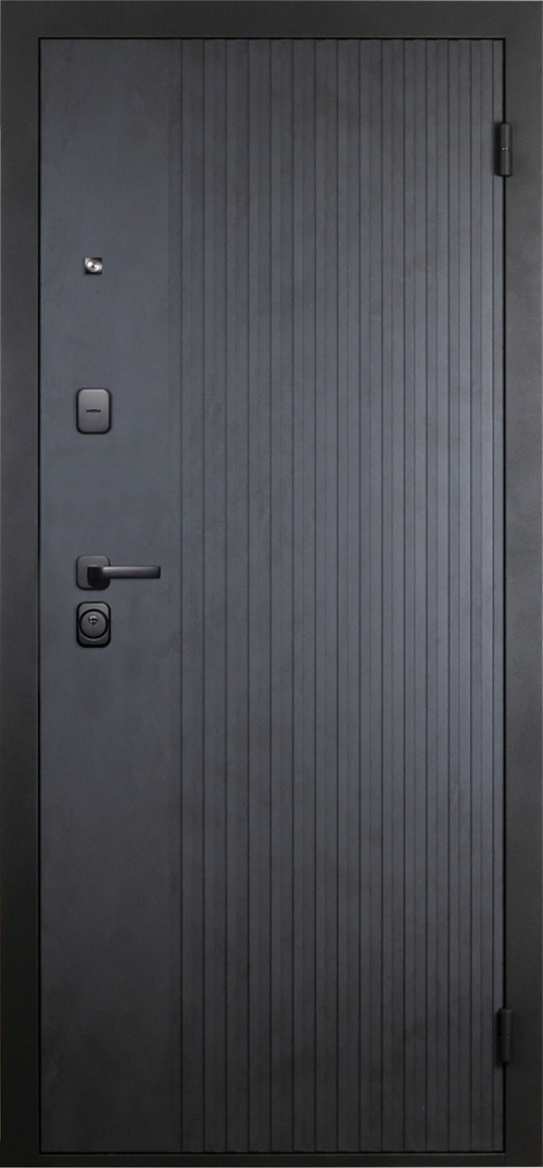 Дверь входная Рона