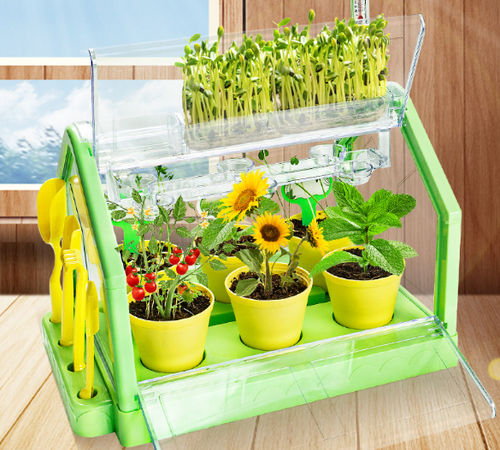 Творческий набор "Вырасти Цветы"