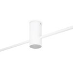 Потолочный светильник Freya FR5363CL-02W1