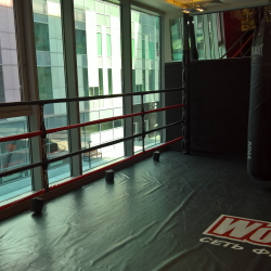 Имитация ринга Fighttech