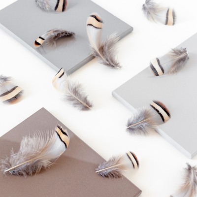 Перья кеклика 5-7 см. 10 шт.