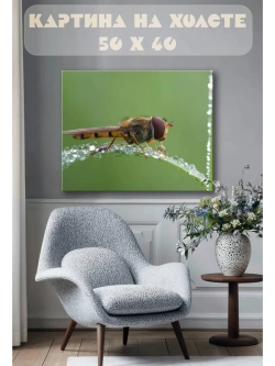 Картина на стену 40 X 50 Стрекоза