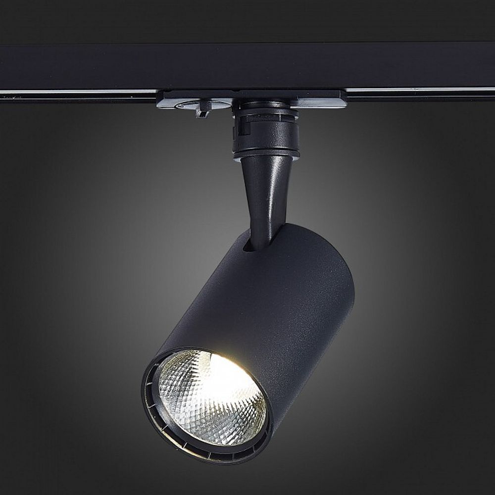 Светильник на штанге ST-Luce Cami ST351.446.10.36