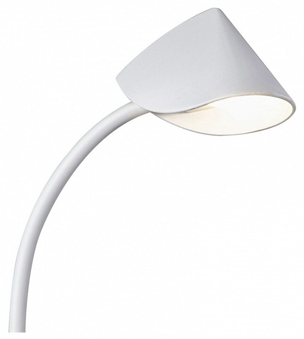 Настольная лампа офисная Mantra Capuccina 7586